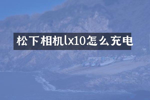 相机lx10怎么充电