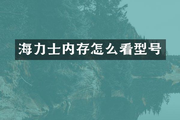 海力士内存怎么看型号