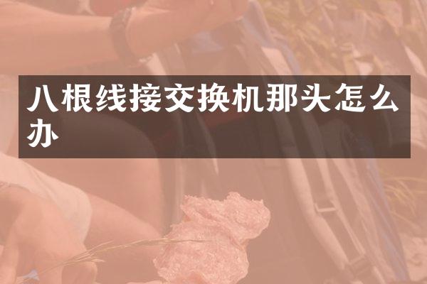 八根线接交换机那头怎么办