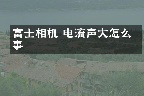 富士相机 电流声大怎么回事