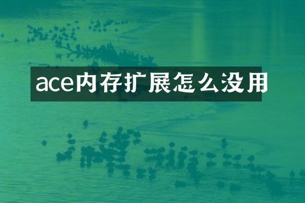 ace内存扩展怎么没用