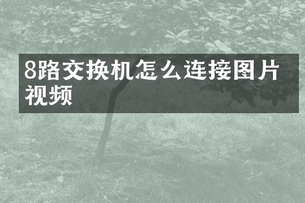 8路交换机怎么连接图片和视频