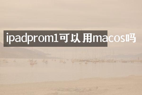 ipadprom1可以用macos吗