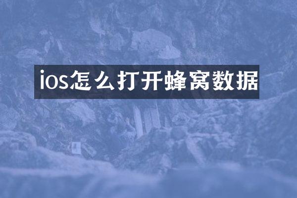 ios怎么打开蜂窝数据