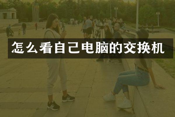 怎么看自己电脑的交换机