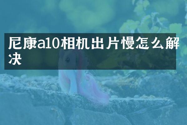 尼康a10相机出片慢怎么解决