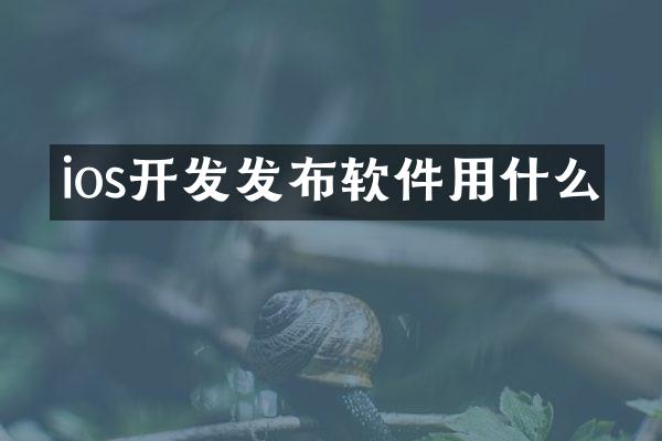 ios开发发布软件用什么