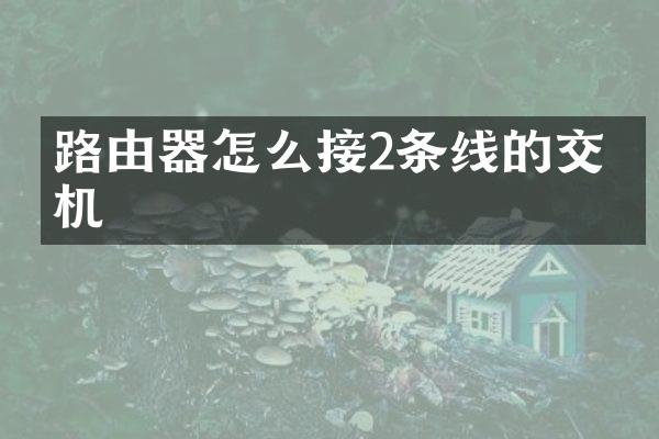路由器怎么接2条线的交换机