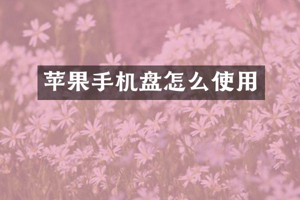 苹果手机盘怎么使用