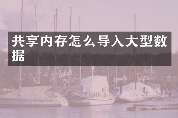 共享内存怎么导入大型数据
