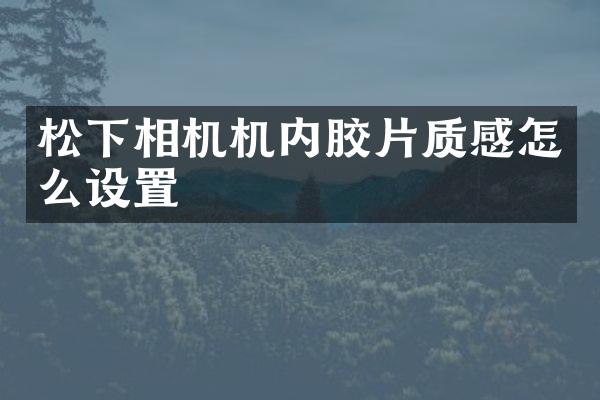 松下相机机内胶片质感怎么设置