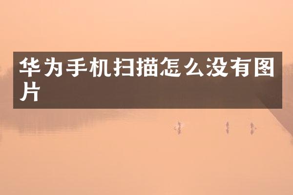 华为手机扫描怎么没有图片