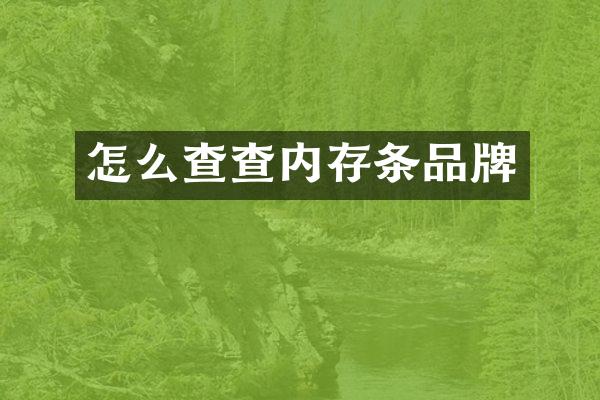 怎么查查内存条品牌