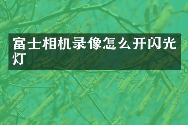 富士相机录像怎么开闪光灯