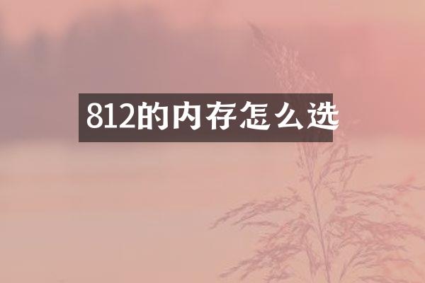 812的内存怎么选