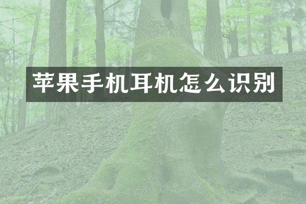 苹果手机耳机怎么识别