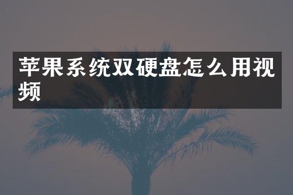 苹果系统双硬盘怎么用视频