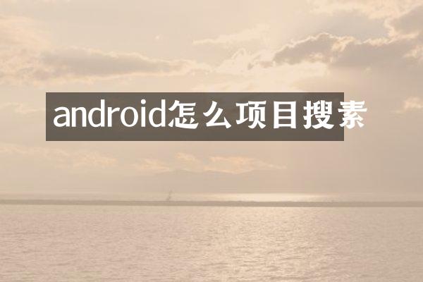 android怎么项目搜素