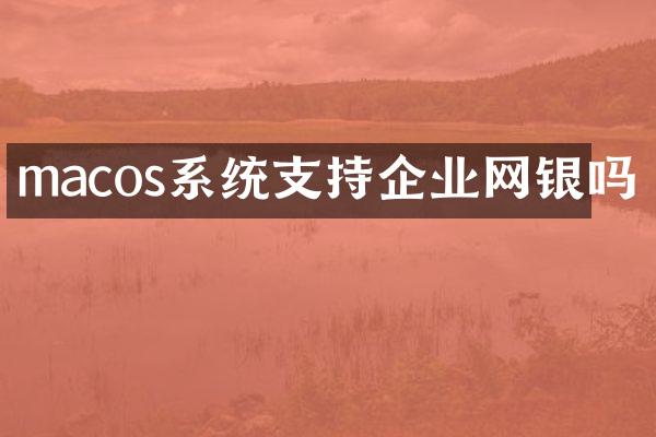 macos系统支持企业网银吗