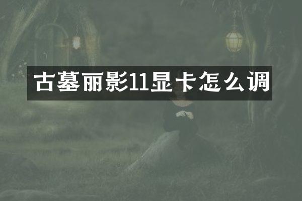 古墓丽影11显卡怎么调