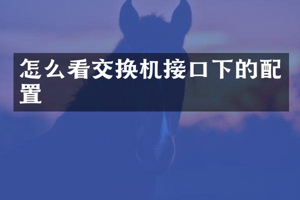 怎么看交换机接口下的配置