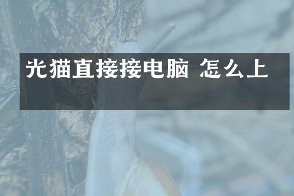 光猫直接接电脑 怎么上网