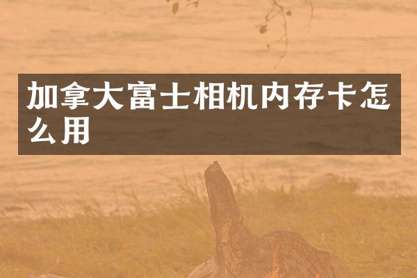 加拿大富士相机内存卡怎么用