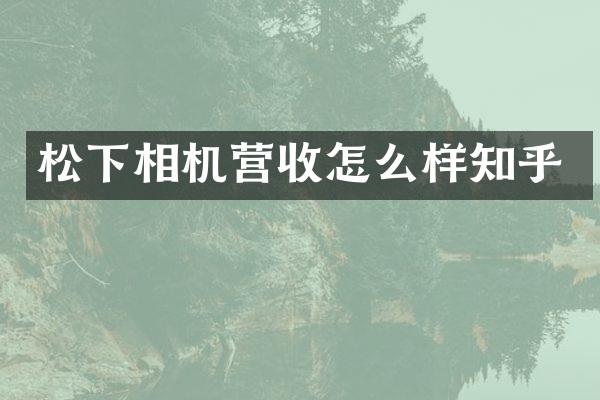 松下相机营收怎么样知乎
