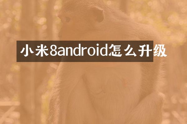小米8android怎么升级