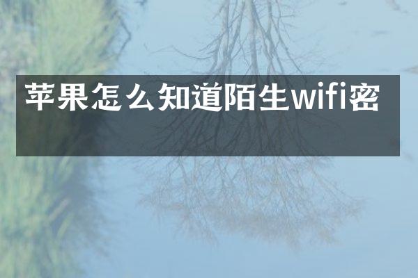 苹果怎么知道陌生wifi密码