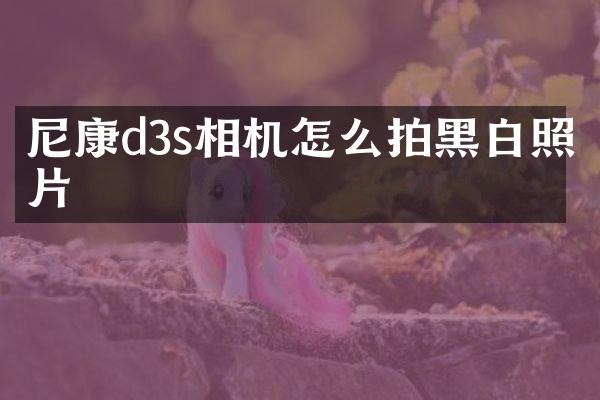 尼康d3s相机怎么拍黑白照片