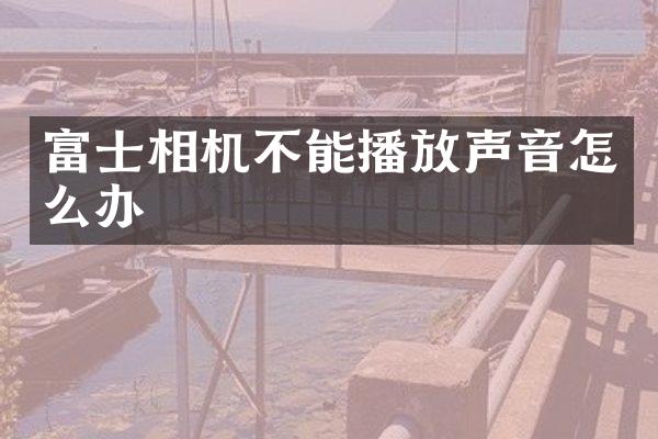 富士相机不能播放声音怎么办
