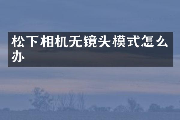 松下相机无镜头模式怎么办