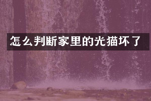 怎么判断家里的光猫坏了