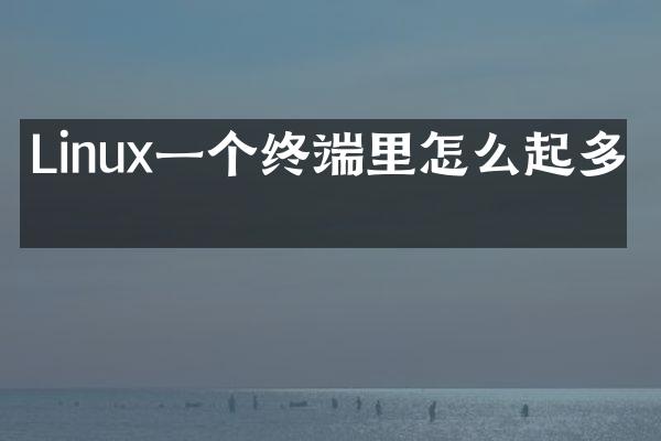 Linux一个终端里怎么起多个