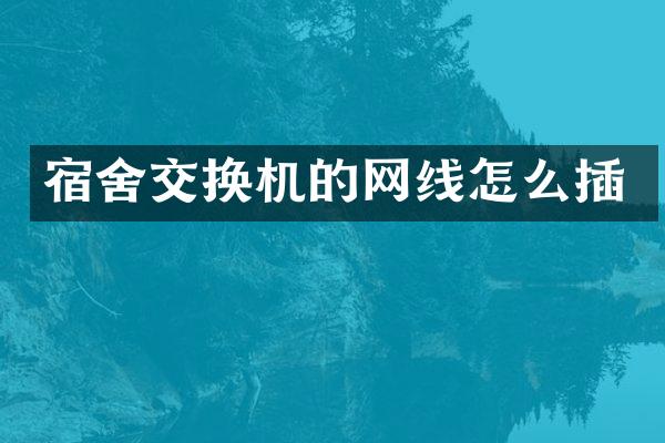 宿舍交换机的网线怎么插