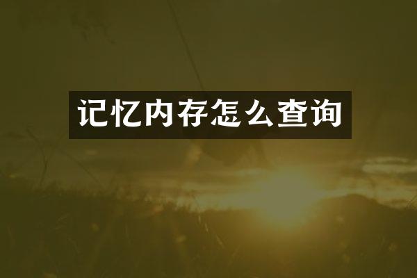 记忆内存怎么查询