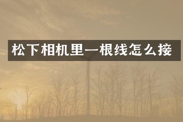 松下相机里一根线怎么接