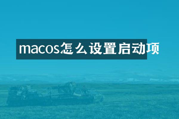 macos怎么设置启动项