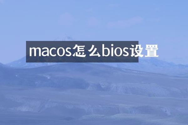 macos怎么bios设置
