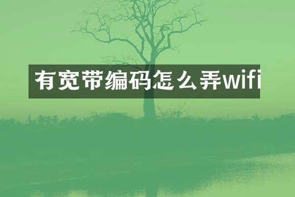 有宽带编码怎么弄wifi