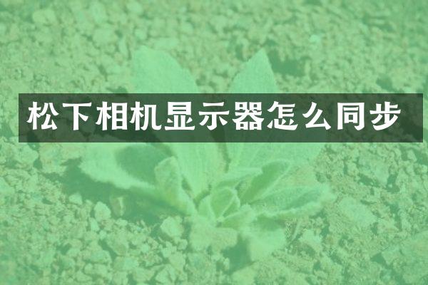 松下相机显示器怎么同步