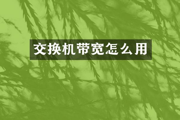 交换机带宽怎么用