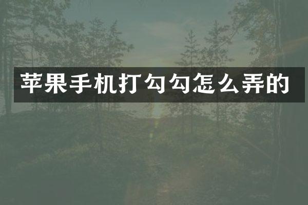 苹果手机打勾勾怎么弄的