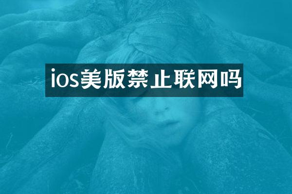 ios美版禁止联网吗