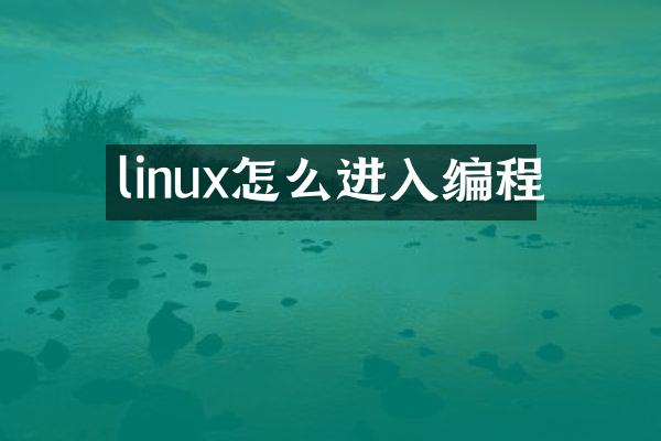 linux怎么进入编程