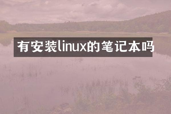 有安装linux的笔记本吗