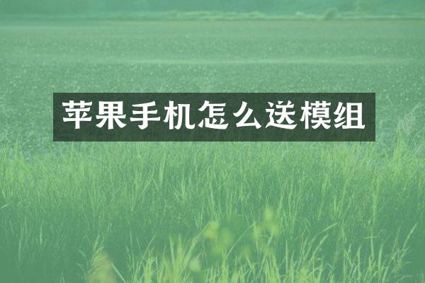 苹果手机怎么送模组