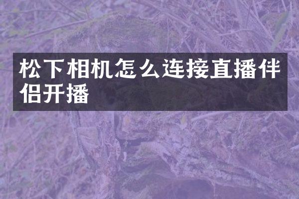 松下相机怎么连接直播伴侣开播