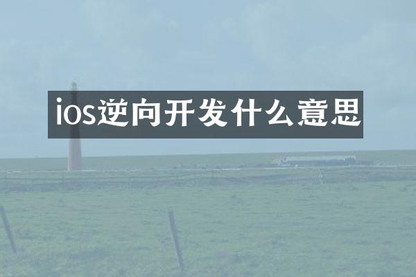 ios逆向开发什么意思